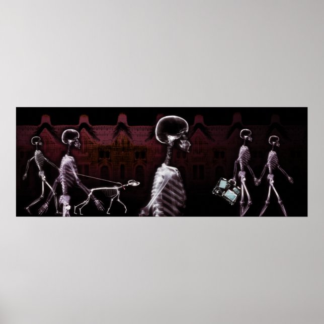 Fish Tank Background - X-Ray Skeleton Town Poster (Front)