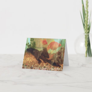 Fish Tank Note Card