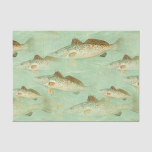 Fish vintage colour illustration pattern tissue paper