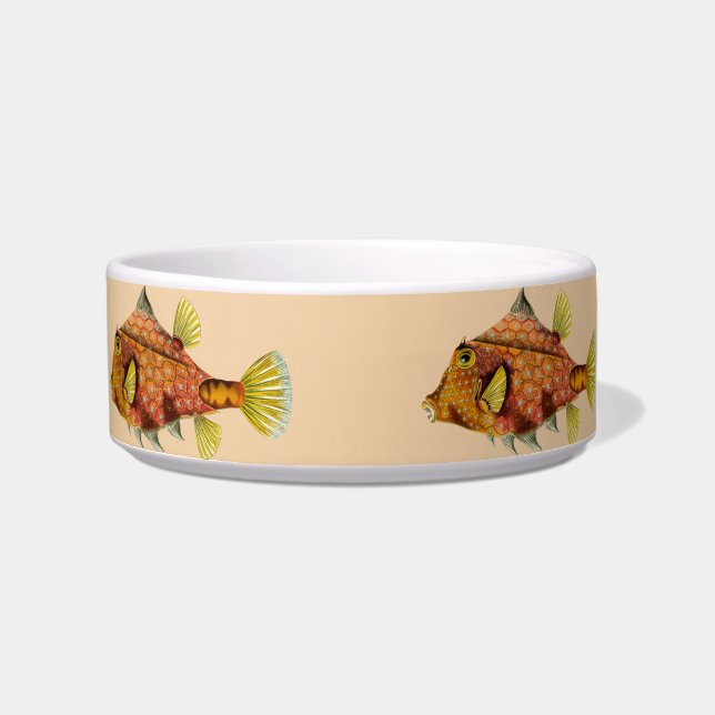 fish wrap cat food bowl  (Front)