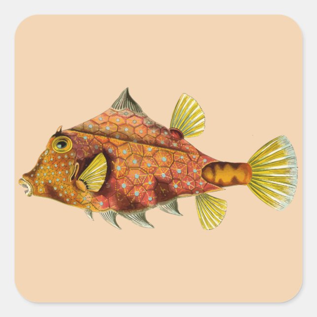 fish wrap customize me stickers (Front)