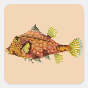 fish wrap customize me stickers