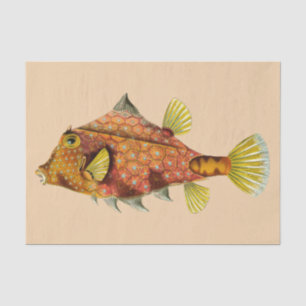 fish wrap tissue paper
