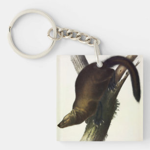 Fisher (Pennant's Marten or Cat Fisher) by Audubon Keychain