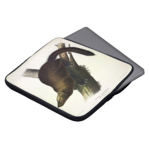 Fisher (Pennant's Marten or Cat Fisher) by Audubon Laptop Sleeve