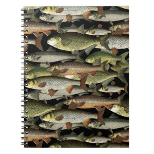 Fisherman's Fantasy Notebook