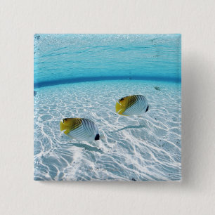 Fishes in the sea 2 inch square button