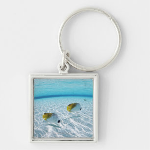 Fishes in the sea 2 keychain