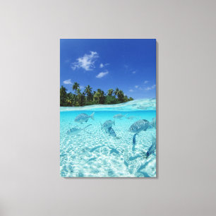 Fishes in the sea canvas print