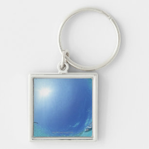 Fishes in the sea keychain