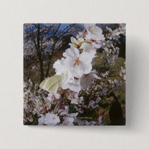 Fisheye view of Butterfly on flower 2 Inch Square Button