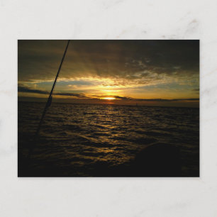 Fishing at Sunset Postcard