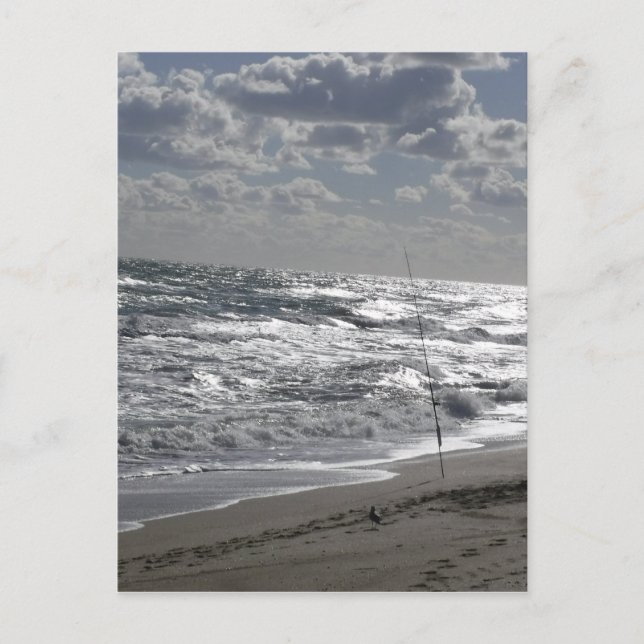 Fishing Beaches and Dreams Postcard (Front)