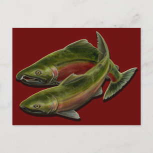 Fishing Bear Postcard Custom Salmon Fish Postcards