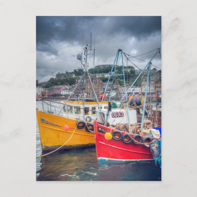 Fishing Boats in Oban Harbour Postcard (Front)