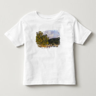Fishing boats, Soufriere, St Lucia, Caribbean Toddler T-shirt