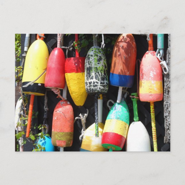 Fishing Buoys- Maine Postcard (Front)