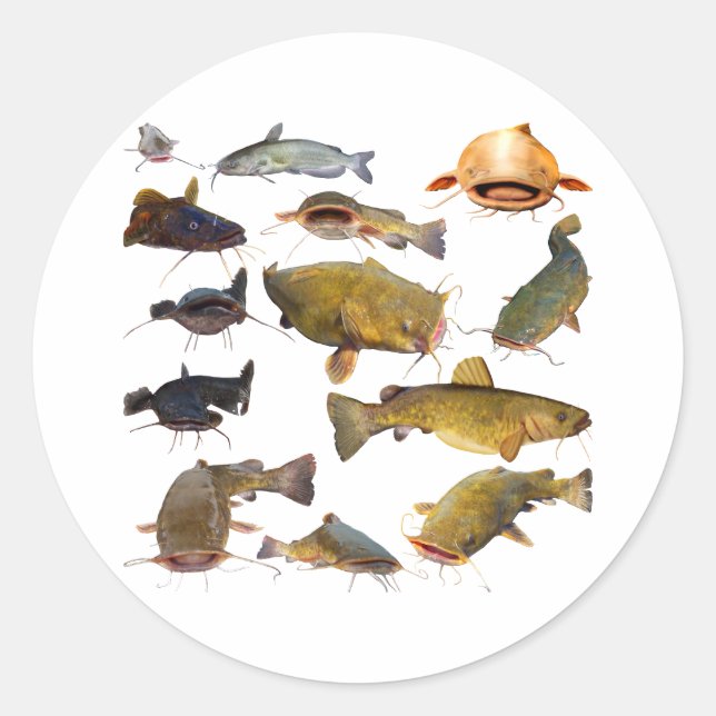 Fishing catfish classic round sticker (Front)