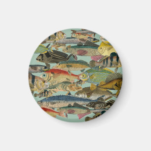 Fishing Fisherman Deep Sea Fishing Exotic Tropical Magnet