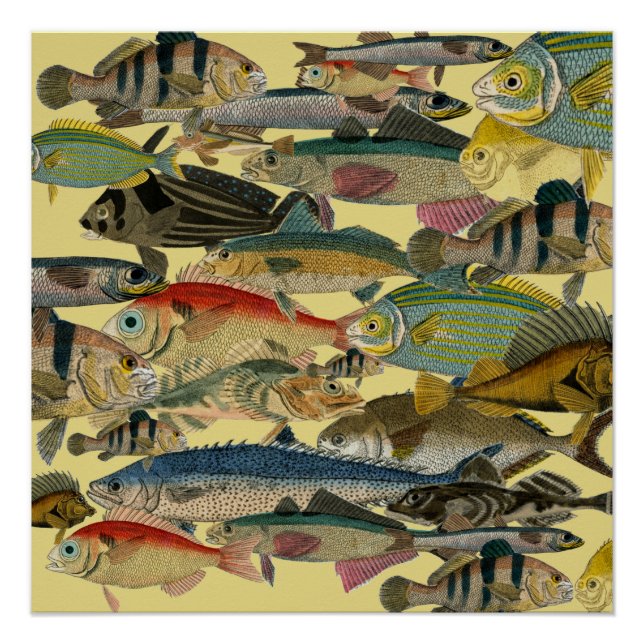 Fishing Fisherman Deep Sea Fishing Exotic Tropical Poster (Front)