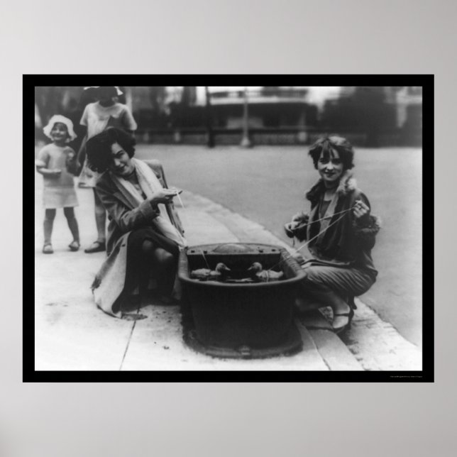 Fishing for Ducks in Washington, DC 1926 Poster (Front)