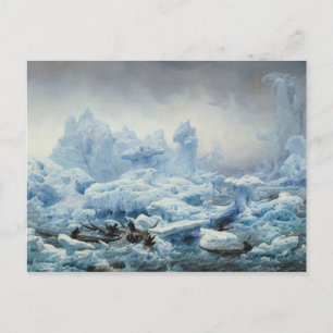 Fishing for Walrus in the Arctic Ocean, 1841 Postcard