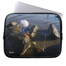 Fishing Fubby on a rock.