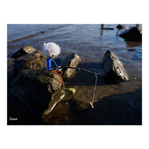 Fishing Fubby on a rock. Poster