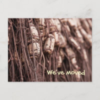 Fishing net we´ve moved postcard