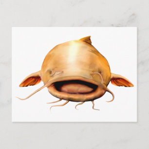 Fishing smile postcard
