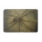 Fishing Spider - Dolomedes tenebrosus