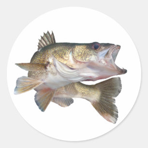 Fishing Walleye Classic Round Sticker