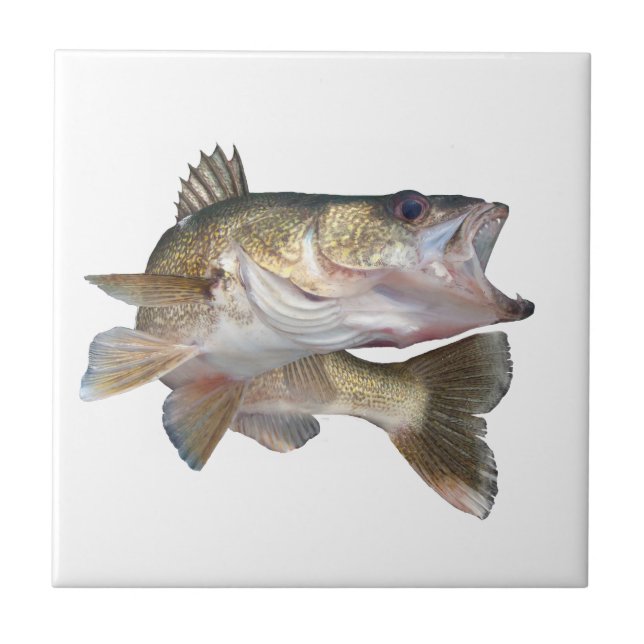 Fishing Walleye Tile (Front)