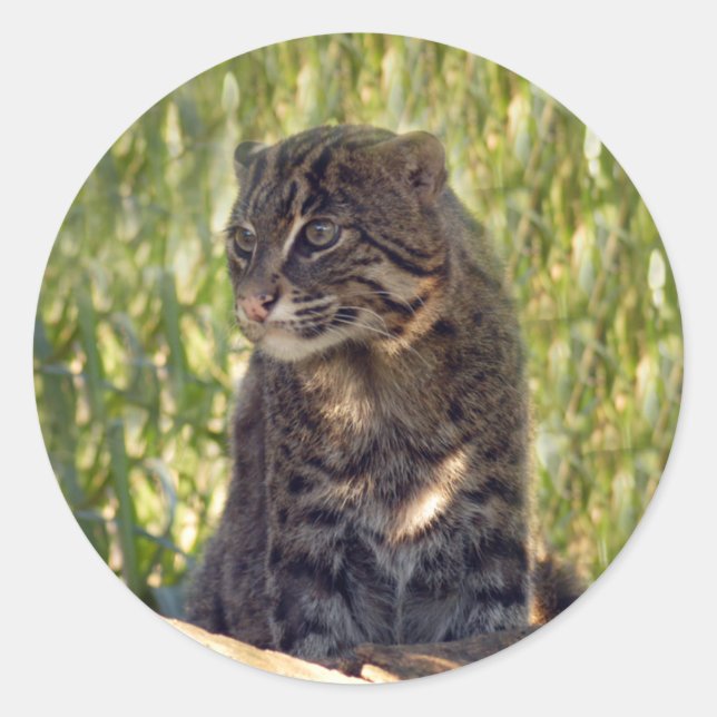 FishingCat007 Classic Round Sticker (Front)