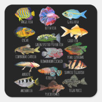 Fishkeeping Fish Species Biology Types Of Aquarium