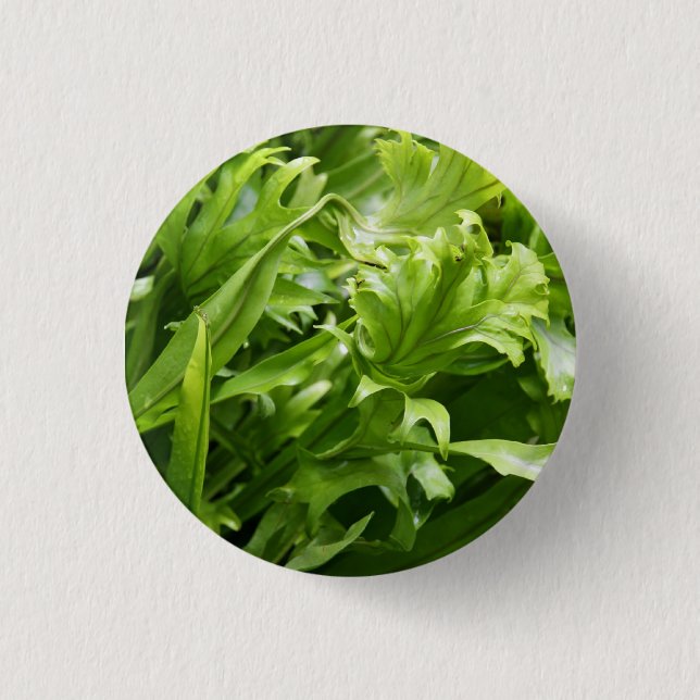 Fishtail Fern Button (Front)