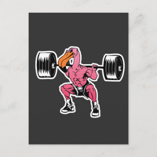 Fitness Flamingo Weightlifting Bodybuilder Muscle Postcard