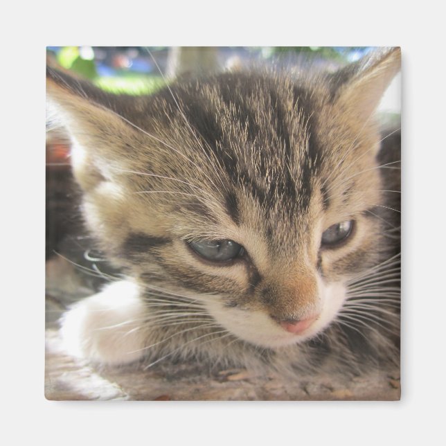 Fitsy the Pretty One Magnet (Front)