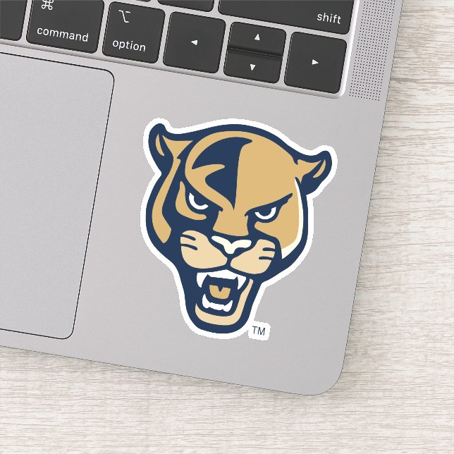 FIU Panther Head (Detail)