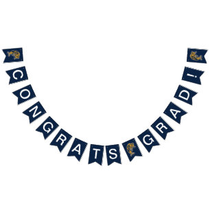 FIU Panthers Graduation Bunting Flags
