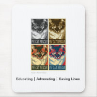 FIV Cat Rescue