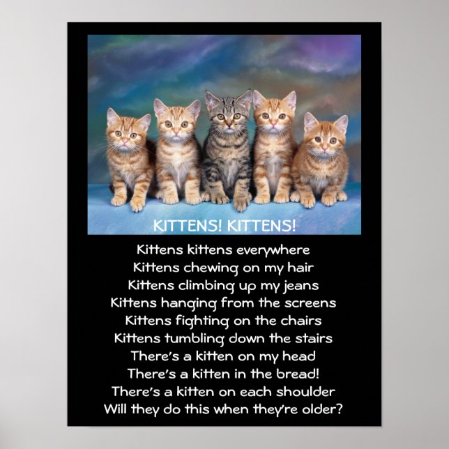 Five Adorable Tabby Kittens Poster (Front)