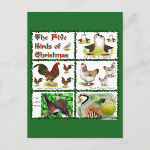 Five Birds of Christmas Holiday Postcard