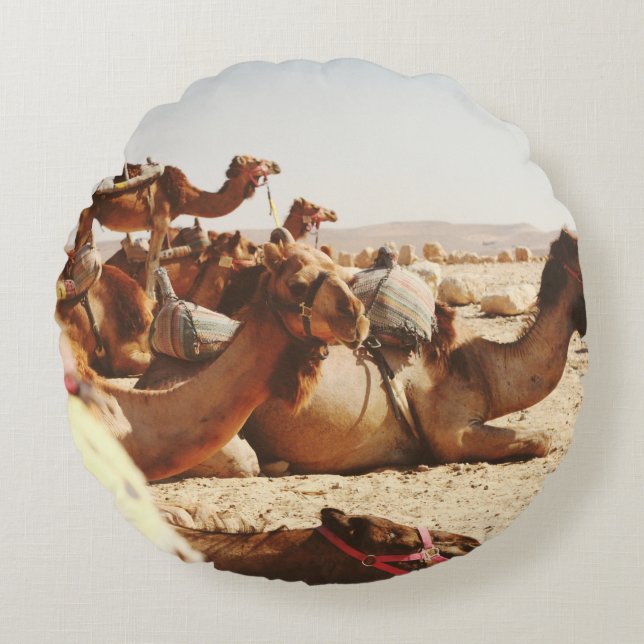 FIVE CAMELS ON FIELD ROUND PILLOW (Front)