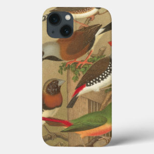 Five Colourful Pet Birds Perched on a Branch iPhone 13 Case