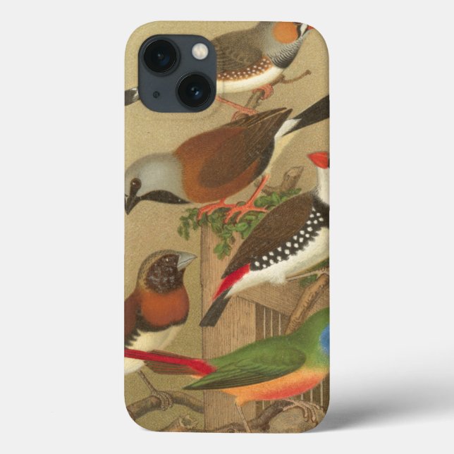 Five Colourful Pet Birds Perched on a Branch Case-Mate iPhone Case (Back)