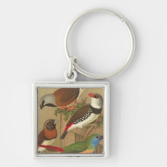Five Colourful Pet Birds Perched on a Branch Keychain (Front)