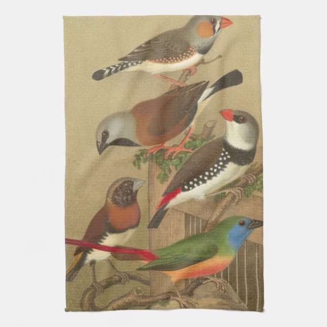 Five Colourful Pet Birds Perched on a Branch Kitchen Towel (Vertical)