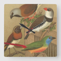 Five Colourful Pet Birds Perched on a Branch