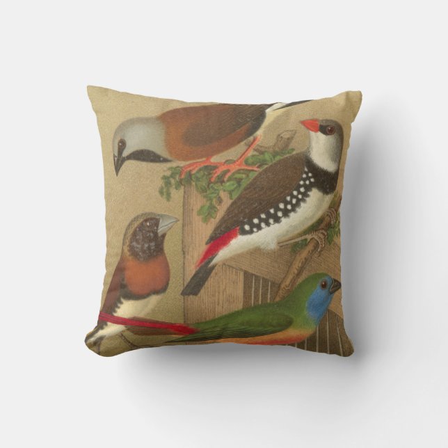 Five Colourful Pet Birds Perched on a Branch Throw Pillow (Front)
